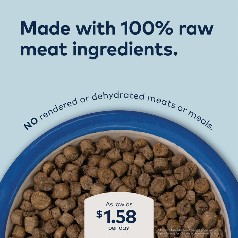 ZIWI, Peak Steam & Dried Beef with Southern Blue Whiting Cat Food image number null